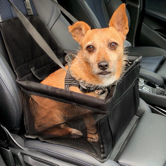 Edward&DeVries siège auto Chien - Lit pour chien - panier pour animaux -  noir - robuste | bol