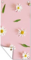 Poster de jardin Marguerites sur fond rose - 40x80 cm - Décoration murale Outdoor - Poster de jardin - Toile jardin - Poster clôture - Tableau jardin
