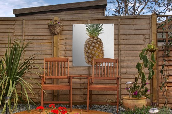 Posters de jardin Ananas - Fruit - Wit - 50x50 cm - Toile de jardin - Affiche extérieure