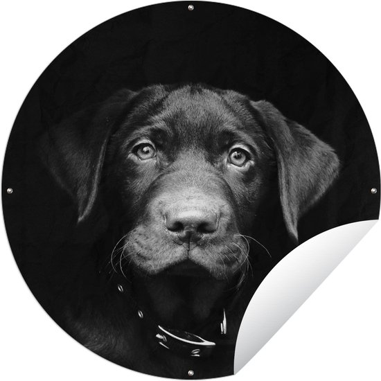 Tuincirkel Dierenprofiel hond in zwart-wit - 60x60 cm - Ronde Tuinposter - Buiten