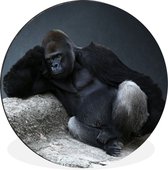 WallCircle - Tableau - Un Gorilla Relaxant Une Pierre Et Xxl - Multicolore - 120 X 120 Cm
