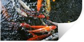 Stickers Stickers muraux - Un grand groupe de carpes koï - 40x20 cm - Feuille adhésive