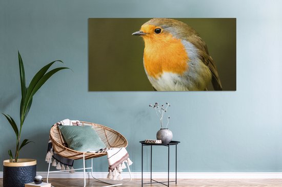 Tableau sur Toile Robin - Branche - Printemps - 160x80 cm - Décoration murale