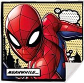 Marvel Toverhanddoek Spider-man Junior 30 X 30 Cm Katoen