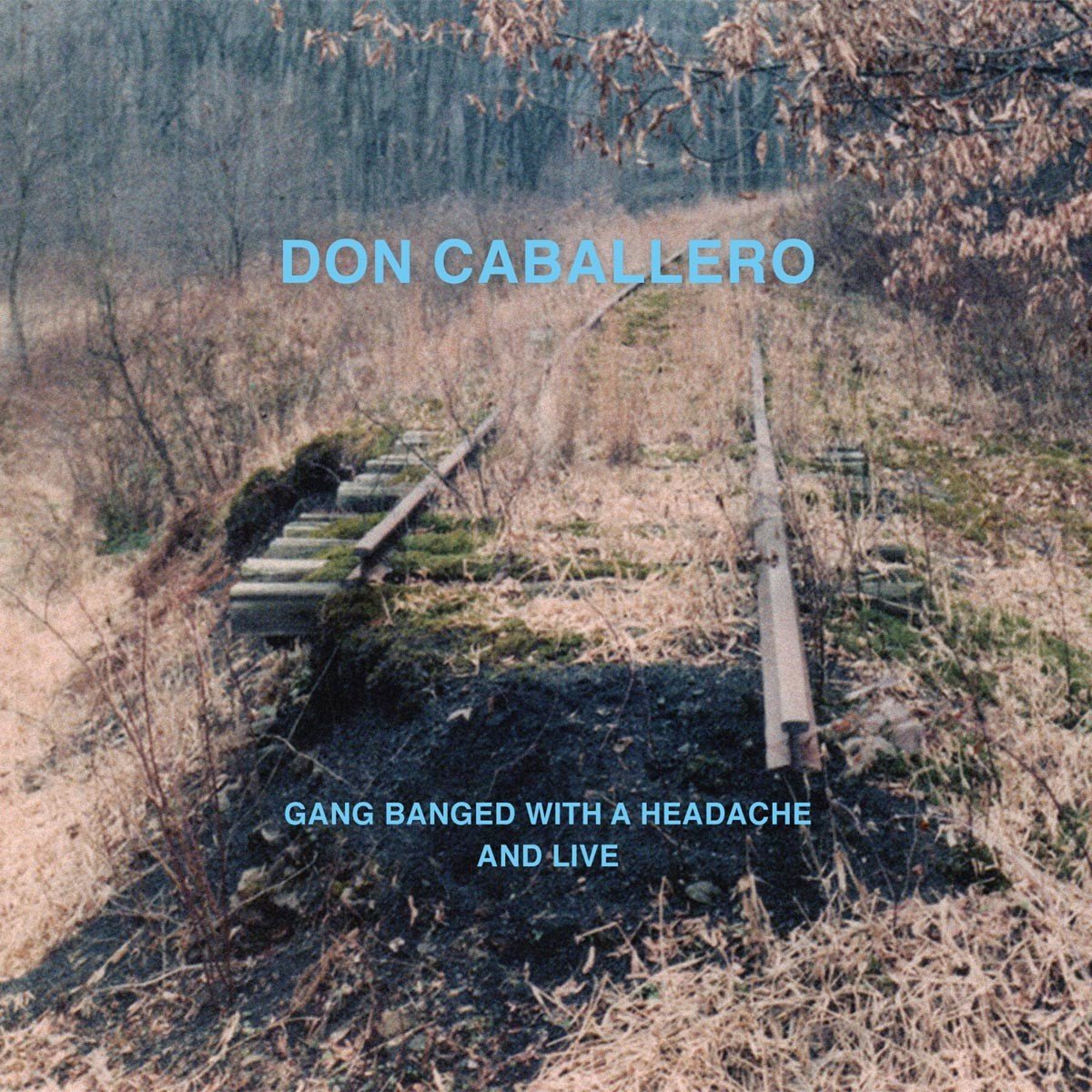 Don Caballero - Gang Banged With A Headache And Live (CD)