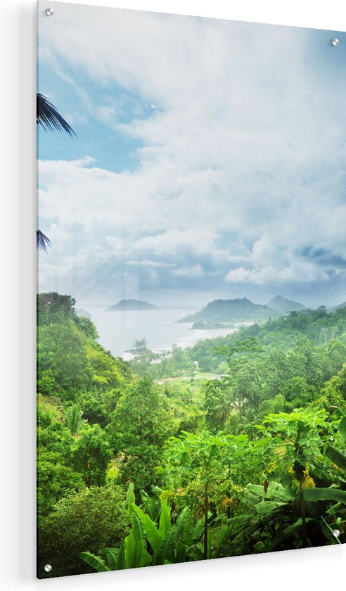 Artaza Glasschilderij - Jungle Uitzicht Op De Seychellen - 50x75 - Plexiglas Schilderij - Foto op Glas