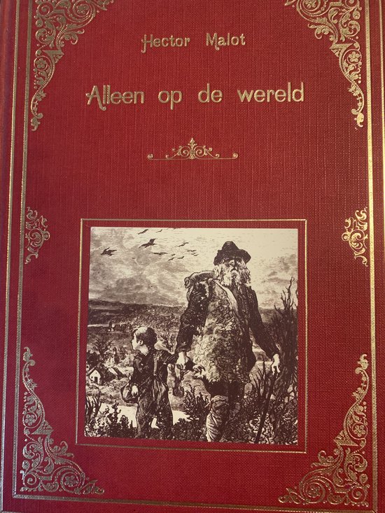 Omslag van Alleen op de wereld door Hector Malot, Tiny Fischer