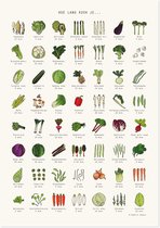 AAI - Poster - Keuken - Koken van groente - A4 formaat