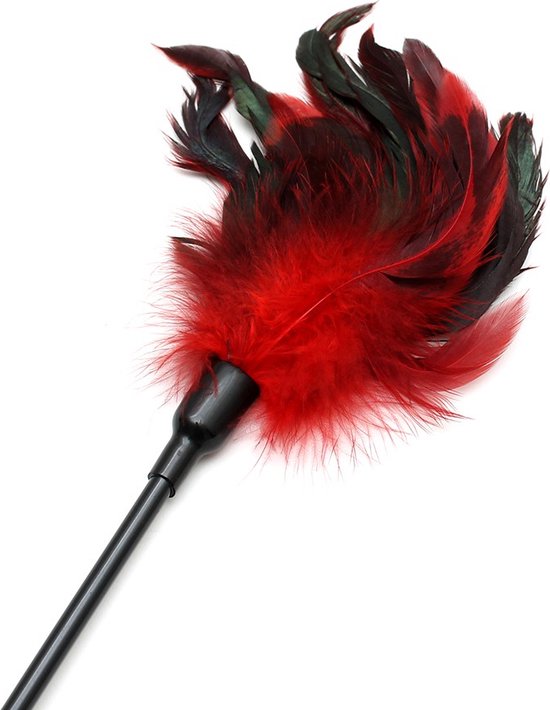 Rimba Bondage Play Riding Whip et Ressorts Tickler - Jouet 2 en 1 - rouge/noir