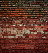 Dimex Brick Wall Vlies Fotobehang 225x250cm 3-banen
