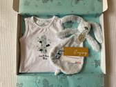 Geboortejongenmeisje.nl - Klein brievenbusgeschenk - Cadeaupakket baby Jongen | Kraamcadeau | Relatiegeschenk