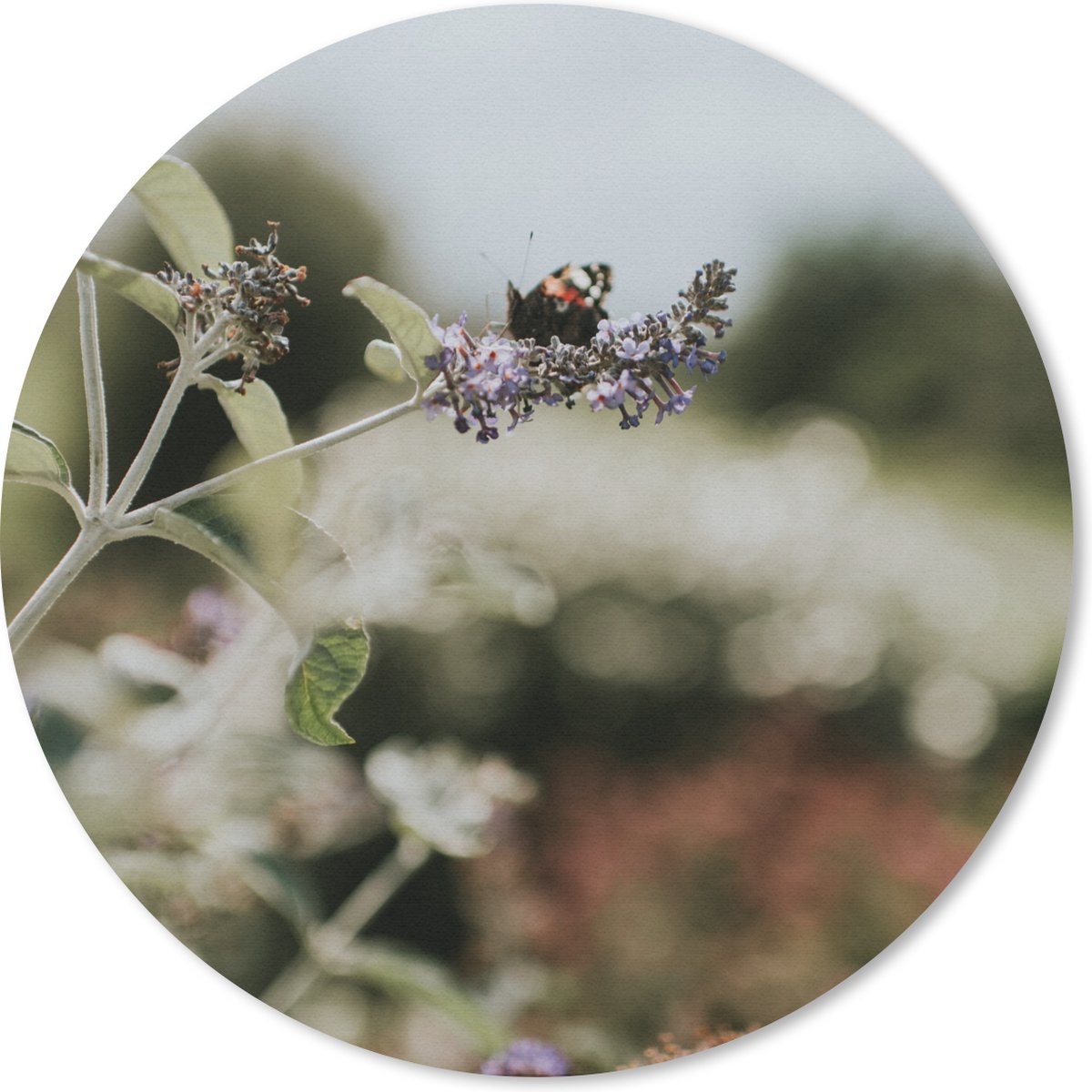 Muismat rond 20x20 cm - Mousepad Dagpauwoog vlinder op lavendel - Ronde muismatten