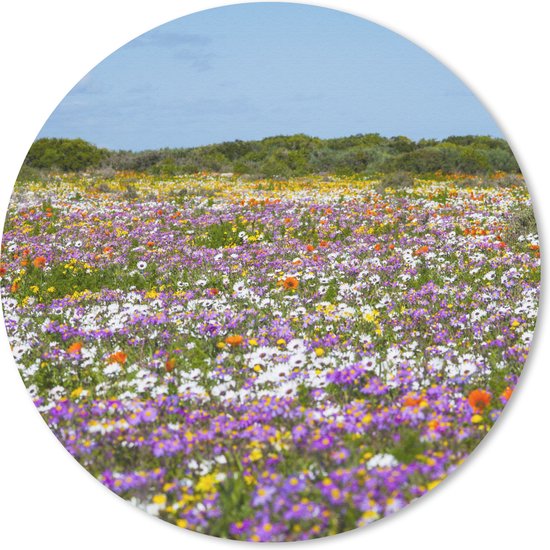Muismat - Mousepad - Rond - Bloemenweide - Paars - Bloemen - 50x50 cm - Ronde muismat