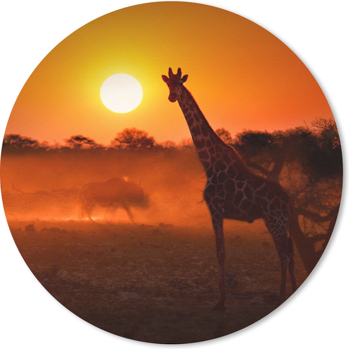 Muismat rond 20x20 cm - Mousepad Giraffe - Zon - Savanne - Ronde muismatten