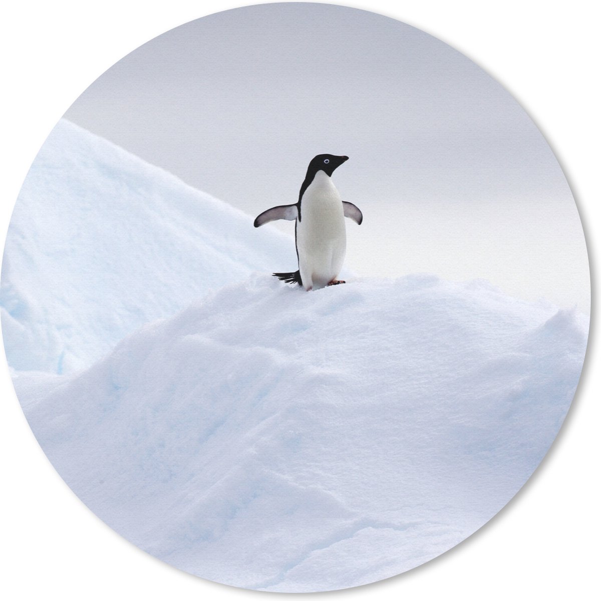 Muismat rond 30x30 cm - Mousepad Pinguïn - IJs - Winter - Ronde muismatten