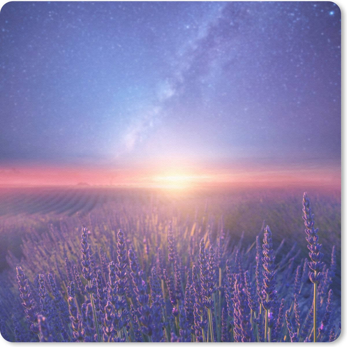 Muismat 30x30 cm - Mousepad Lavendel - Melkweg - Bloemenweide - Muismatten