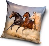 Paarden Sierkussens - Kussen - 40 x 40 inclusief vulling - Kussen van Polyester - KledingDroom®