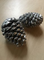 Kerstartikel - HDN-Deco Dennenappels (x2) - 10-14cm - Zilver - Kerststuk - Versiering - Echte Dennenappels (geverfd)