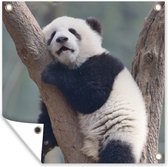 Tuinposters Slapend pandabeer jong - 50x50 cm - Tuindoek - Buitenposter