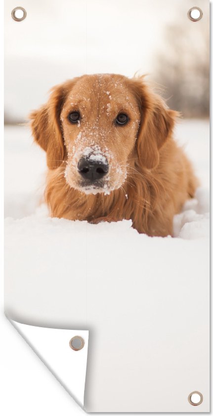 Affiche de jardin Chien - Neige - Hiver - 30x60 cm - Toile jardin - Affiche extérieure