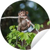 Tuincirkel Baby - Aap - Takken - 120x120 cm - Ronde Tuinposter - Buiten XXL / Groot formaat!
