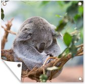 Tuinposters Koala - Takken - Bladeren - Kinderen - Jongens - Meisjes - 50x50 cm - Tuindoek - Buitenposter
