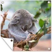 Tuinposters Koala - Takken - Slapen - Kinderen - Jongens - Meiden - 50x50 cm - Tuindoek - Buitenposter