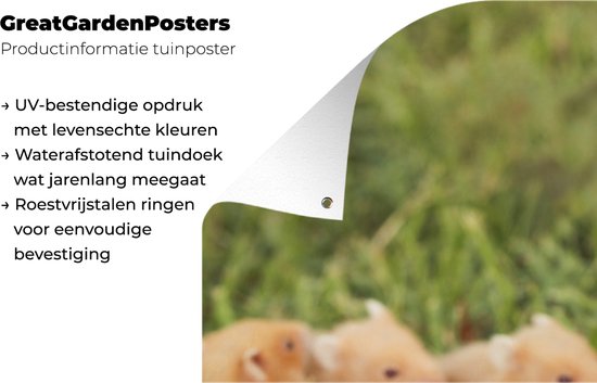 Décoration murale d'extérieur Hamster doré avec garçon - 80x160 cm - Toile de jardin - Poster extérieur