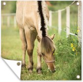 Posters de jardin un cheval de fjord dans une pelouse - 50x50 cm - Toile de jardin - Affiche d'extérieur