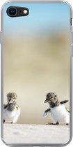 Geschikt voor iPhone SE 2020 hoesje - Jongen - Zand - Vogels - Siliconen Telefoonhoesje