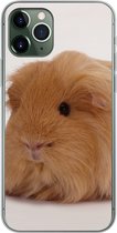 Geschikt voor iPhone 11 Pro hoesje - Sheltie cavia - Siliconen Telefoonhoesje