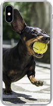 Geschikt voor iPhone Xs Max hoesje - Een zwarte Teckel met een tennisbal - Siliconen Telefoonhoesje