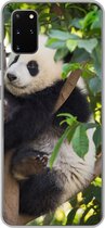 Geschikt voor Samsung Galaxy S20 Plus hoesje - Panda - Dier - Boom - Siliconen Telefoonhoesje