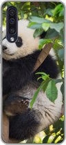 Geschikt voor Samsung Galaxy A50 hoesje - Panda - Dier - Boom - Siliconen Telefoonhoesje