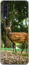 Coque Samsung Galaxy A50 - Cerf - Forêt - Animal - Coque de téléphone en Siliconen