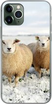 Geschikt voor iPhone 11 Pro hoesje - Groep nieuwsgierige schapen - Siliconen Telefoonhoesje