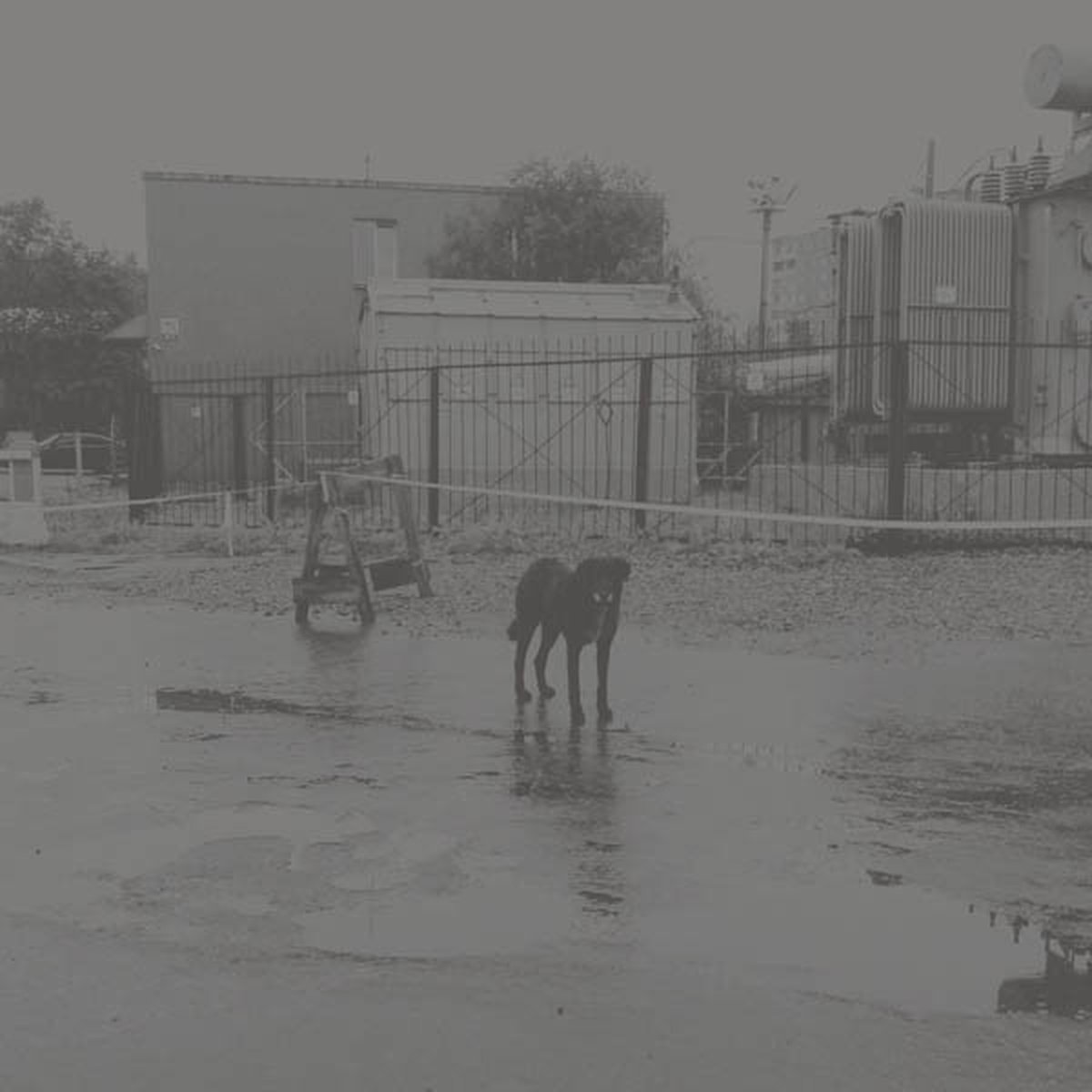 Nivhek - After Its Own Death / Walking In A Spiral Towards The House (2 LP)