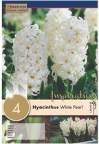 Zakje hyacintbollen - Hyacinthus 'White Pearl' - witte hyacinten - 4 bollen