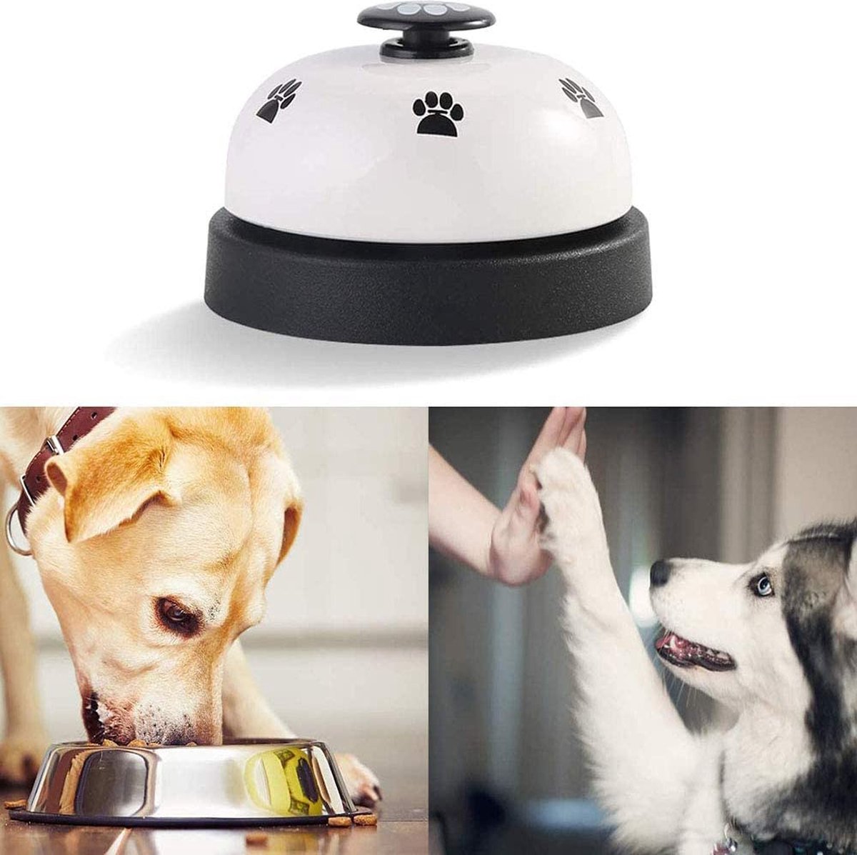 Twaalf tips voor een top hondentraining - Prins Petfoods