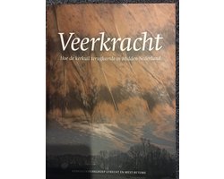 Veerkracht