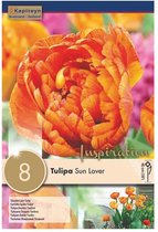 Zakje tulpenbollen - Tulipa 'Sun Lover' - oranje tulpen - 8 bollen