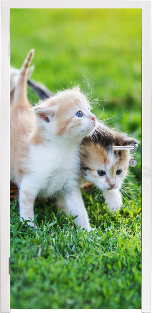 Afbeelding van product StickerSnake  Deursticker Kittens - Kat - Mand - 90x235 cm - Deurposter