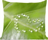 Sierkussen - Foto Van Botanisch Blad Met Waterdruppels In Een Vorm Van Een Hart