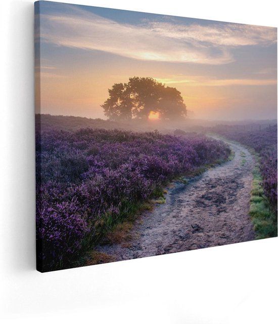 Artaza Canvas Schilderij Pad in de Weide van de Veluwe - 100x80 - Groot - Foto Op Canvas - Canvas Print