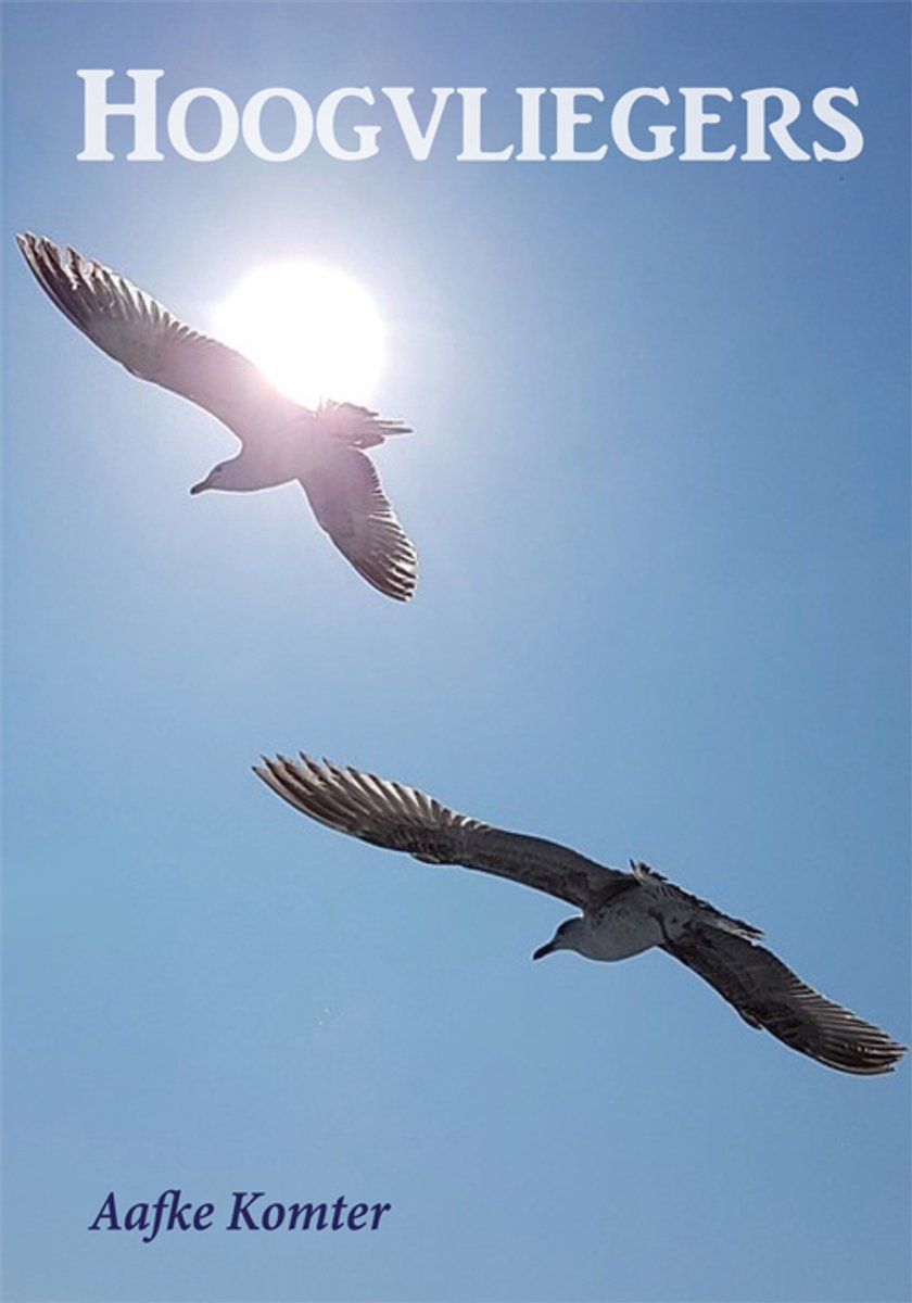 Twee meeuwen vliegen in de lucht. De zon schijnt fel door de wolken.