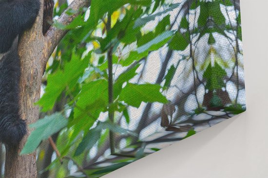 Artaza Peinture sur Toile Panda dans les Arbres - 30x40 - Klein - Photo sur Toile - Impression sur Toile