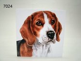 Wenskaart + Envelop Beagle