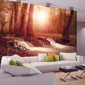Zelfklevend fotobehang -  Dromen van de Herfst in een bos  , Premium Print