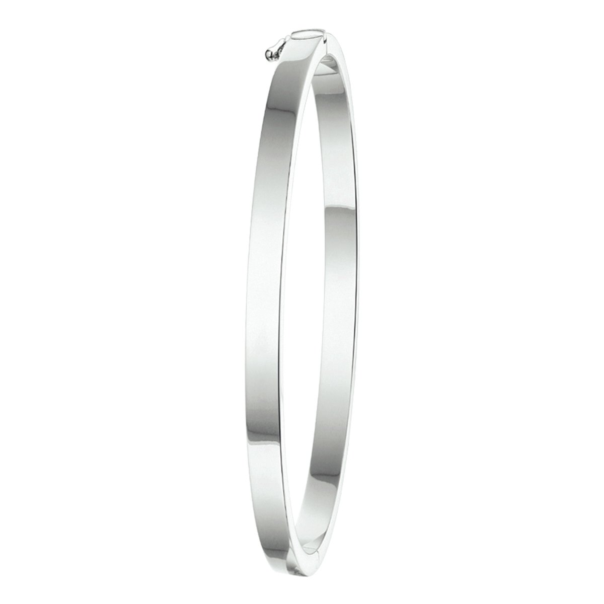 Bangle Scharnier Massief 4 X 60 Mm