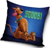 Scooby Doo Scoob! Sierkussens - Kussen - 40 x 40 inclusief vulling - Kussen van Polyester - KledingDroom®